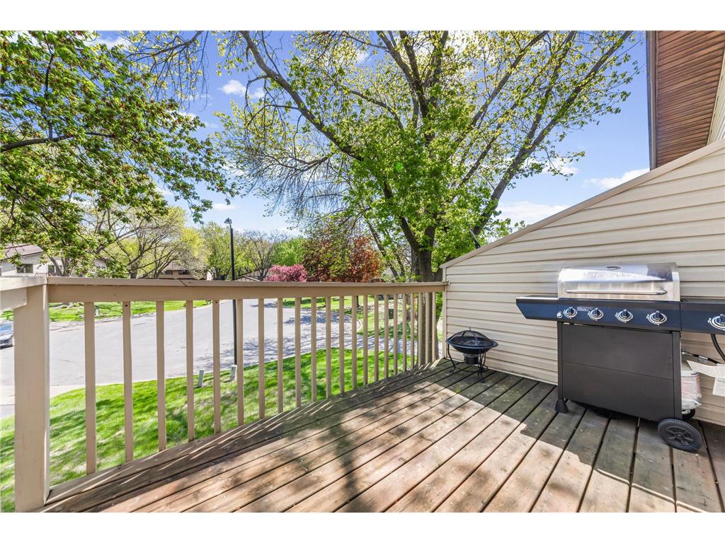 1096 Churchill Place Shoreview MN 55126 7069835 image42