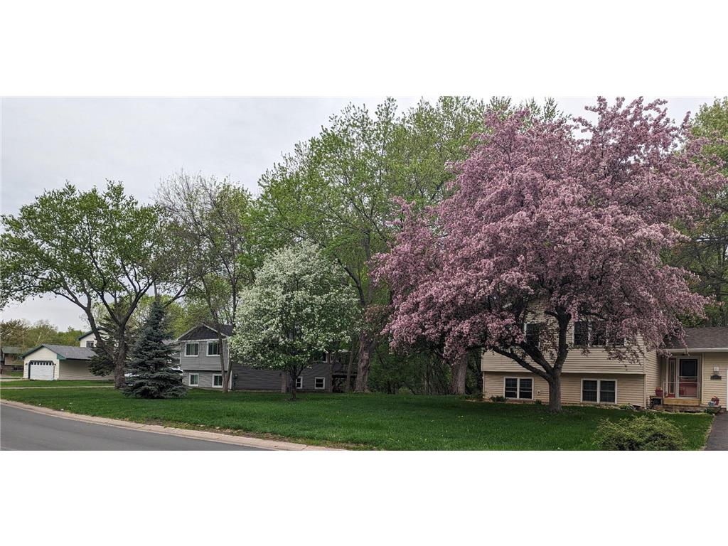 10962 Eagle Street NW Coon Rapids MN 55433 7045370 image45