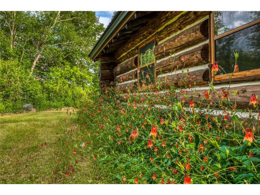 10972 River Road Splithand Twp MN 55752 - Mississippi 7093488 image24