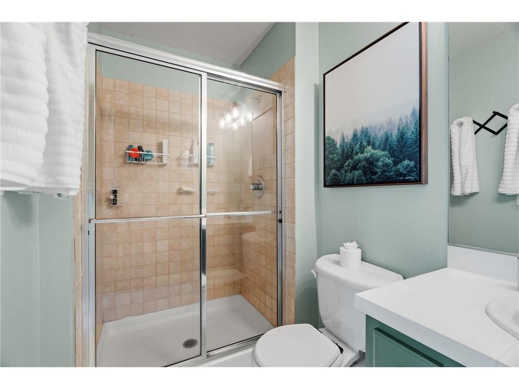 10974 Alameda Avenue Inver Grove Heights MN 55077 7099083 image40