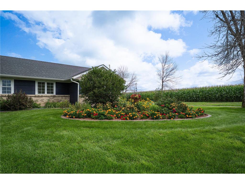 10981 270th Street Cannon Falls MN 55009 6772384 image8