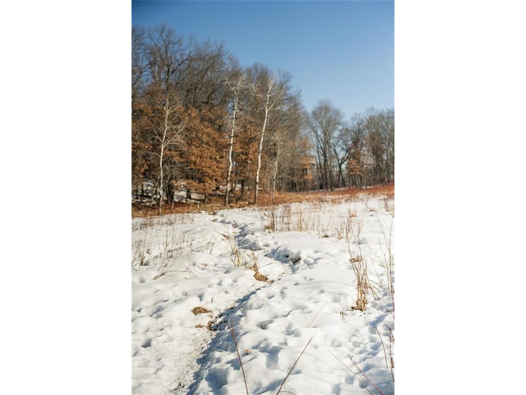 10984 Harvest Road Little Falls Twp MN 56345 7018919 image9