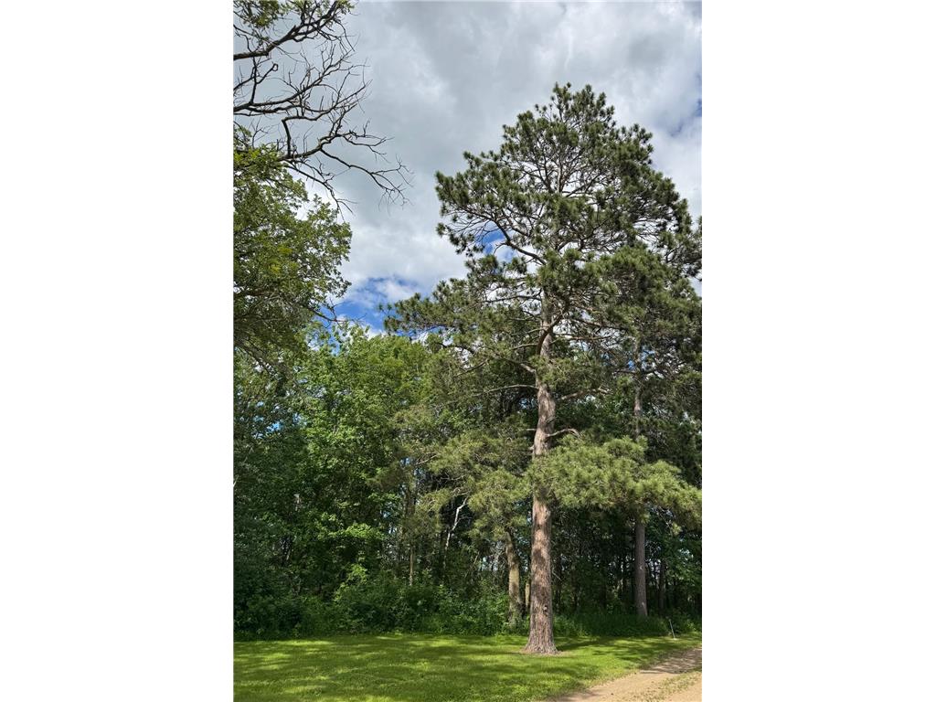 10985 49th Avenue SW May Twp MN 56473 7099564 image21