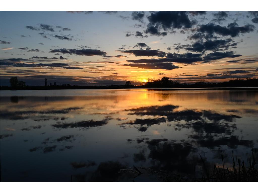 10991 23rd Street NE Saint Michael MN 55376 - Gonz 6795689 image53