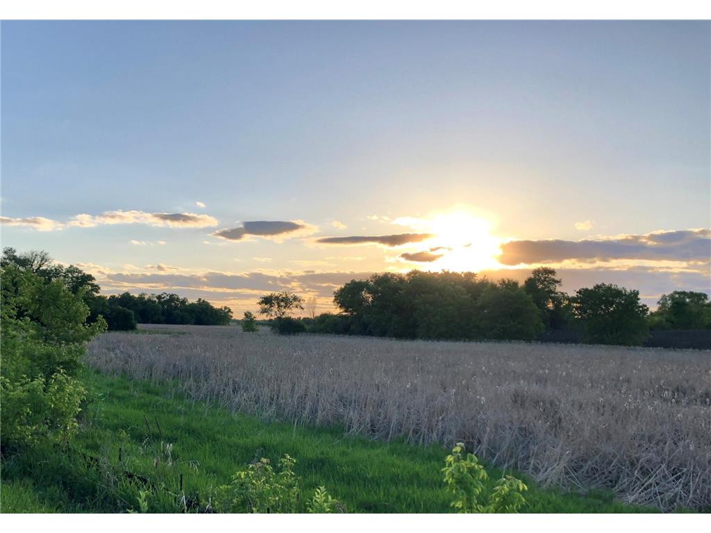 10991 23rd Street NE Saint Michael MN 55376 - Gonz 6795689 image55