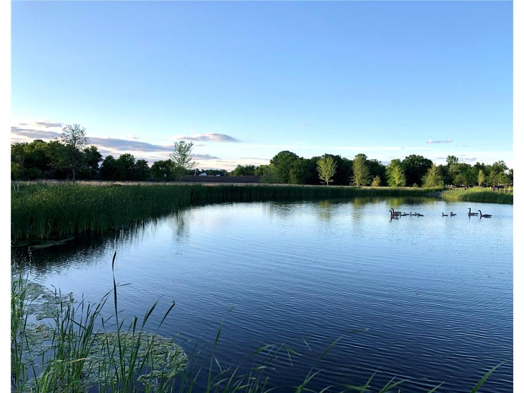 10991 23rd Street NE Saint Michael MN 55376 - Gonz 6795689 image56