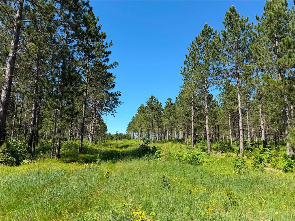 10998 Grange Road NW Eckles Twp MN 56601 7093711 image1