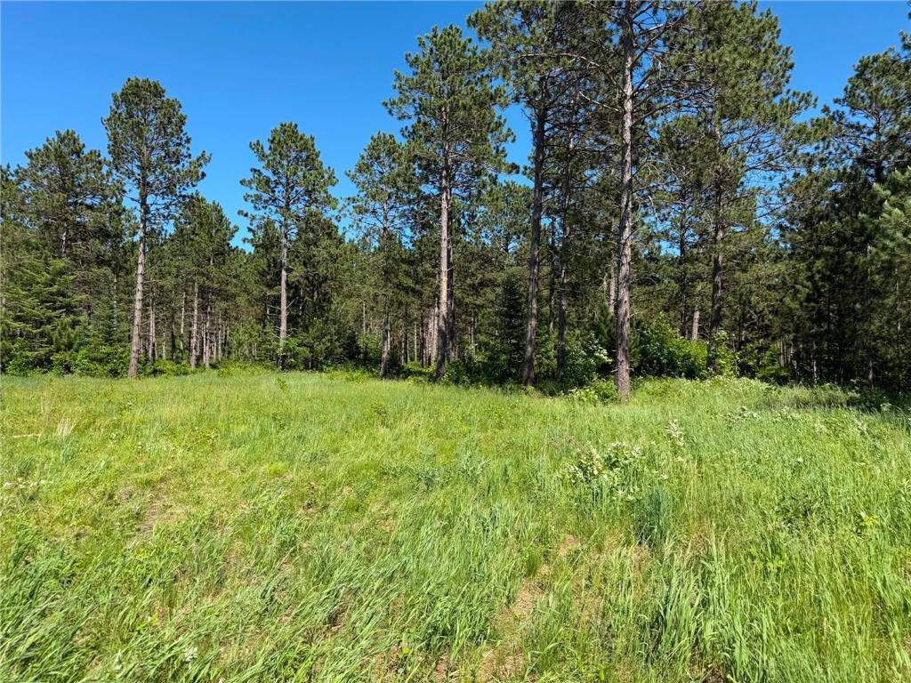 10998 Grange Road NW Eckles Twp MN 56601 7093711 image3