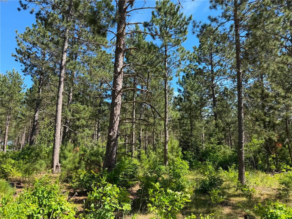 10998 Grange Road NW Eckles Twp MN 56601 7093711 image4