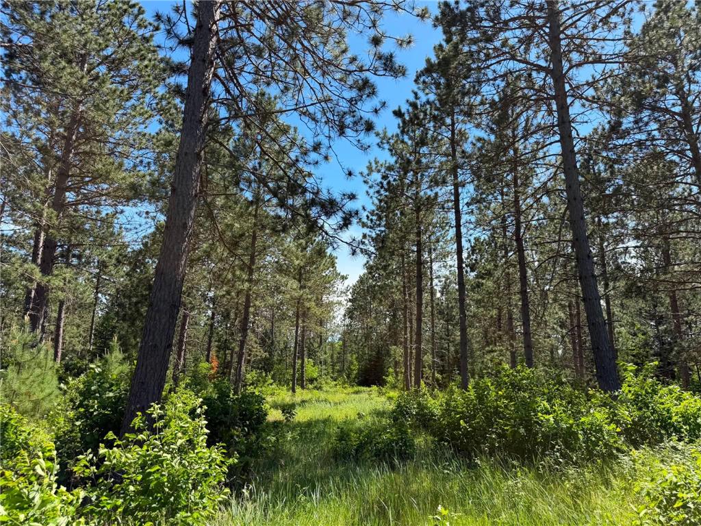 10998 Grange Road NW Eckles Twp MN 56601 7093711 image5
