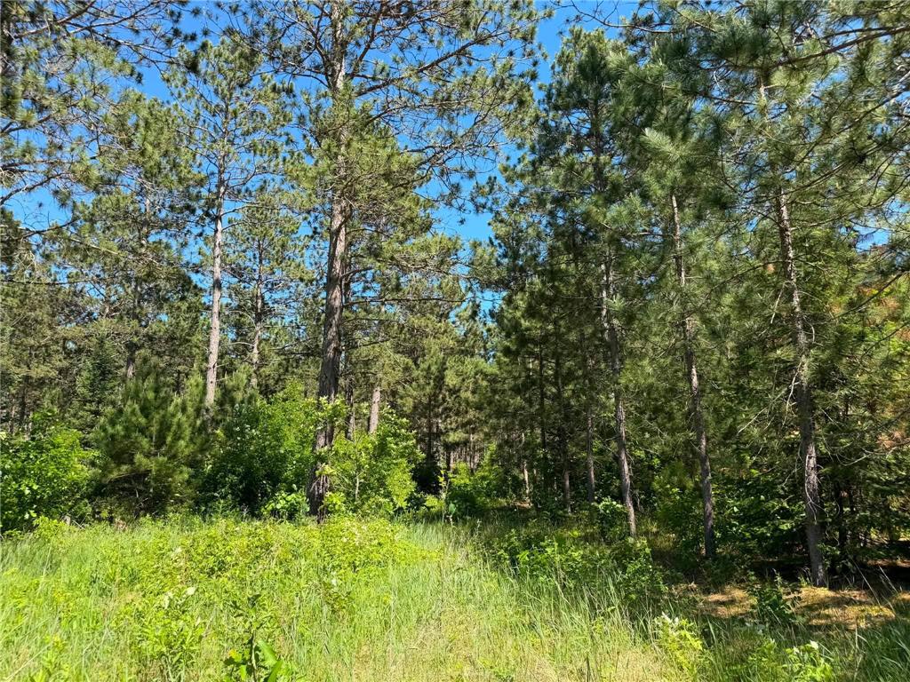 10998 Grange Road NW Eckles Twp MN 56601 7093711 image6