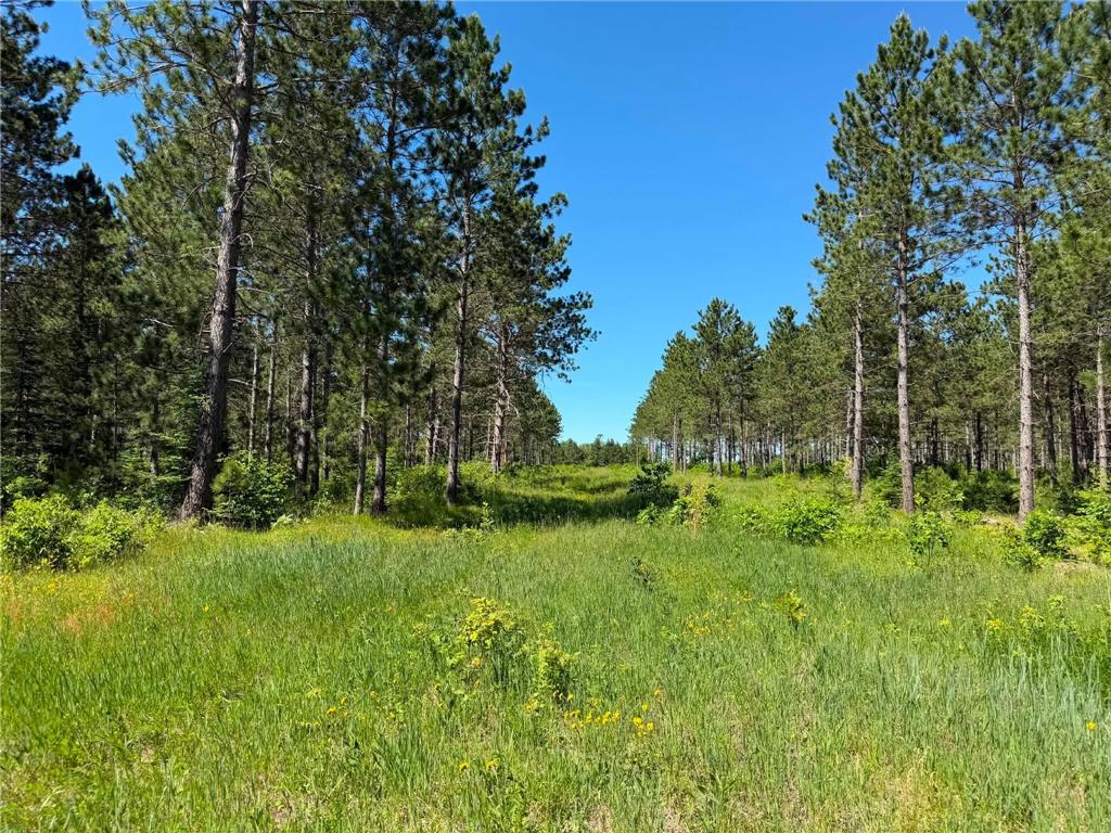 10998 Grange Road NW Eckles Twp MN 56601 7093711 image7