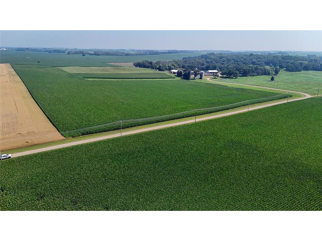 10998 Point Douglas Drive S Cottage Grove MN 55033 6755766 image2