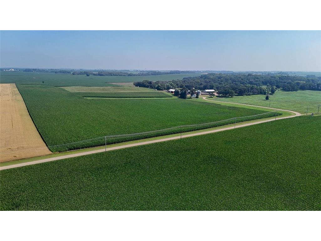 10998 Point Douglas Drive S Cottage Grove MN 55033 6755766 image3