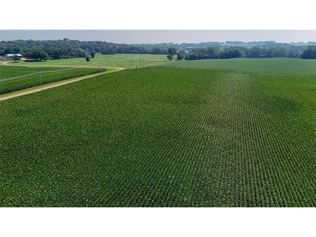 10998 Point Douglas Drive S Cottage Grove MN 55033 6755766 image62