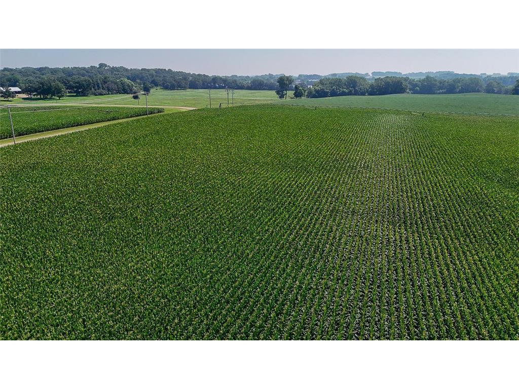 10998 Point Douglas Drive S Cottage Grove MN 55033 6755766 image63