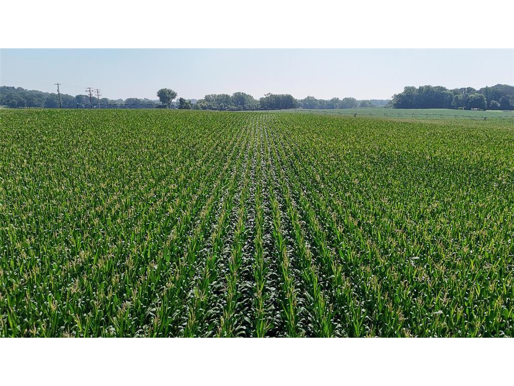 10998 Point Douglas Drive S Cottage Grove MN 55033 6755766 image64