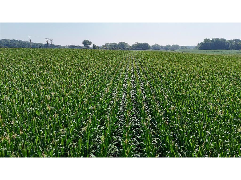 10998 Point Douglas Drive S Cottage Grove MN 55033 6755766 image65