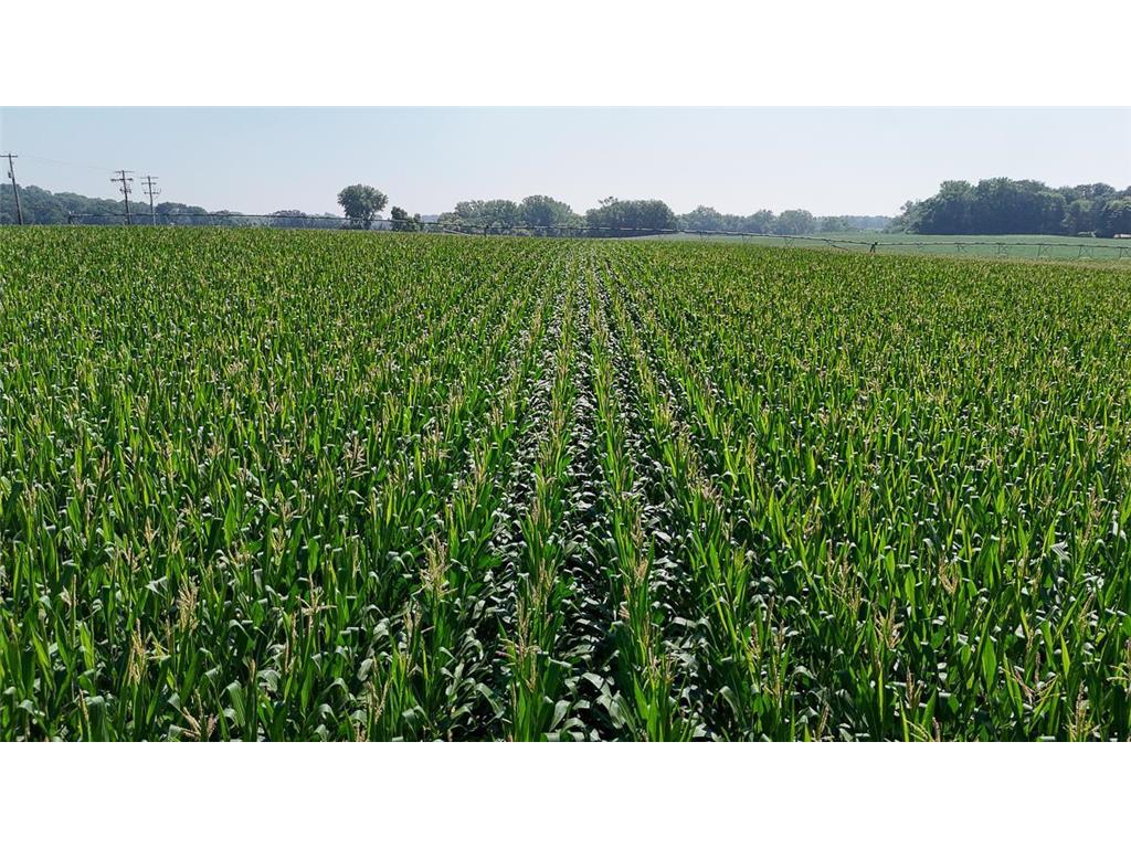 10998 Point Douglas Drive S Cottage Grove MN 55033 6755766 image66