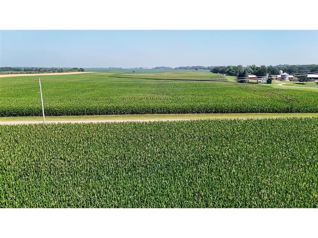 10998 Point Douglas Drive S Cottage Grove MN 55033 6755766 image67