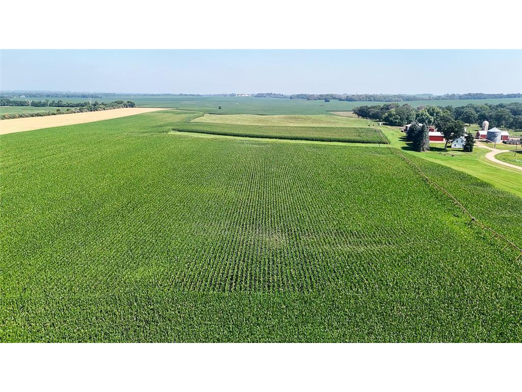 10998 Point Douglas Drive S Cottage Grove MN 55033 6755766 image68