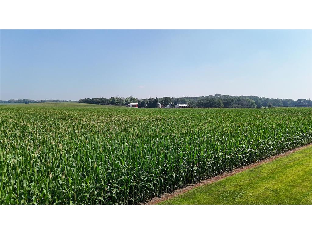 10998 Point Douglas Drive S Cottage Grove MN 55033 6755766 image85