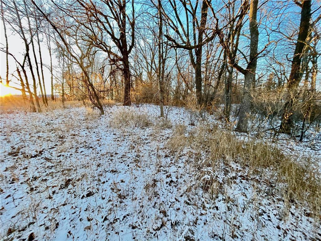 10XX S Broadway Pelican Rapids MN 56572 6470785 image11