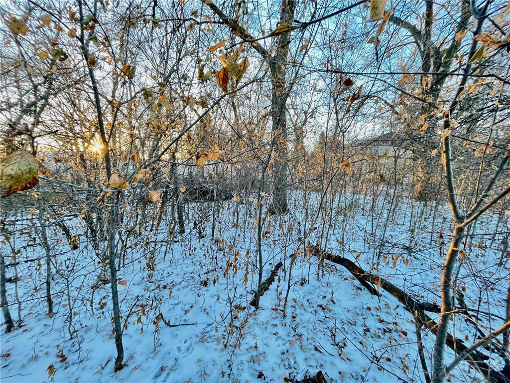10XX S Broadway Pelican Rapids MN 56572 6470785 image13