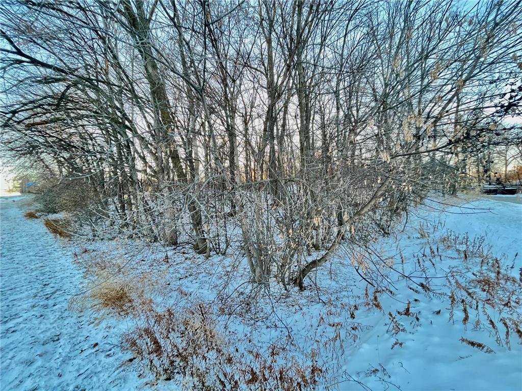 10XX S Broadway Pelican Rapids MN 56572 6470785 image15