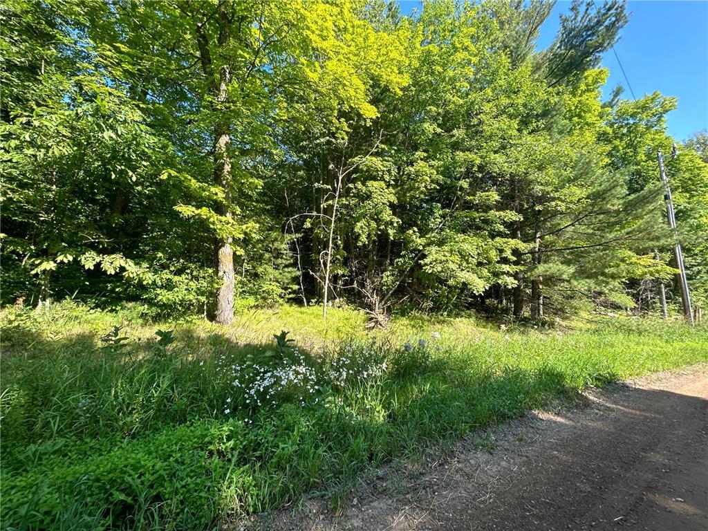 10XXX Maple Ridge Road, Garrison, MN, 56450 MLS 6409448 Edina Realty