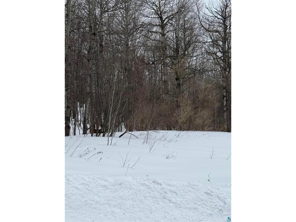 10xx Joshua Avenue Duluth MN 55811 7040417 image2