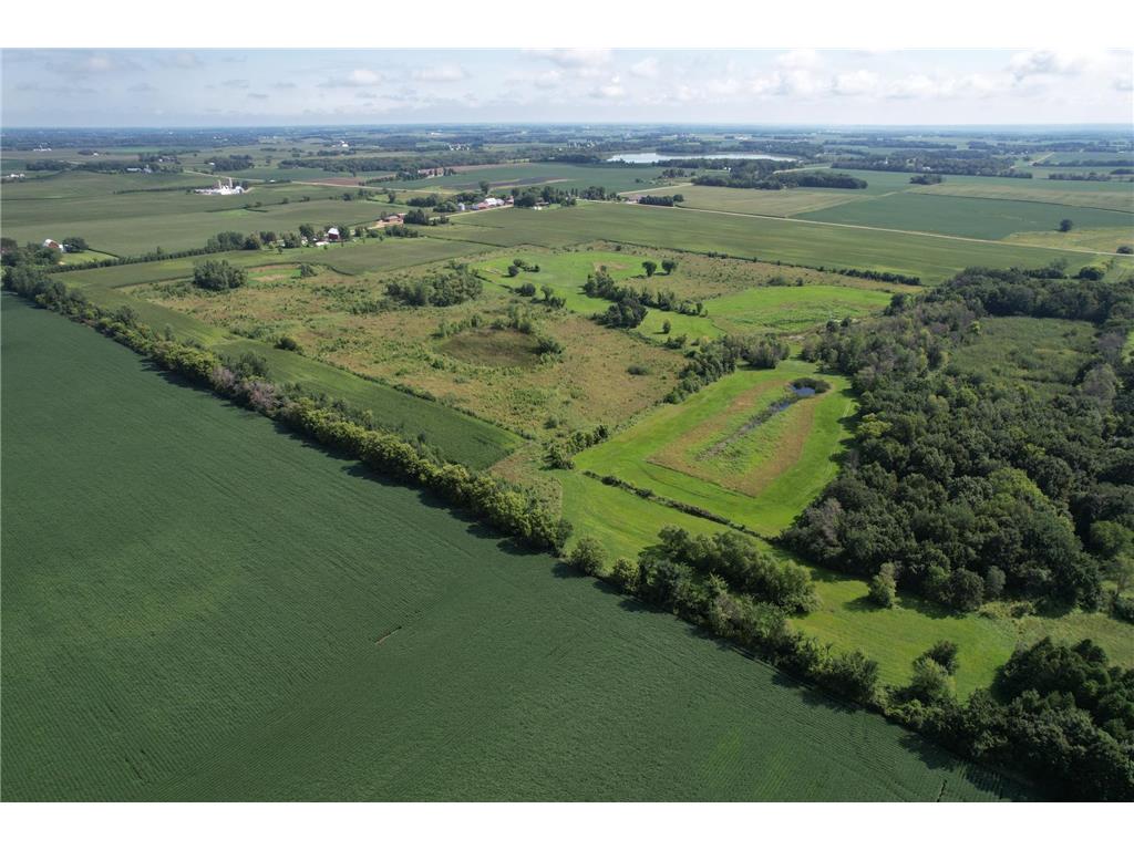 10xxx County Road 50 Cologne MN 55322 6774682 image13