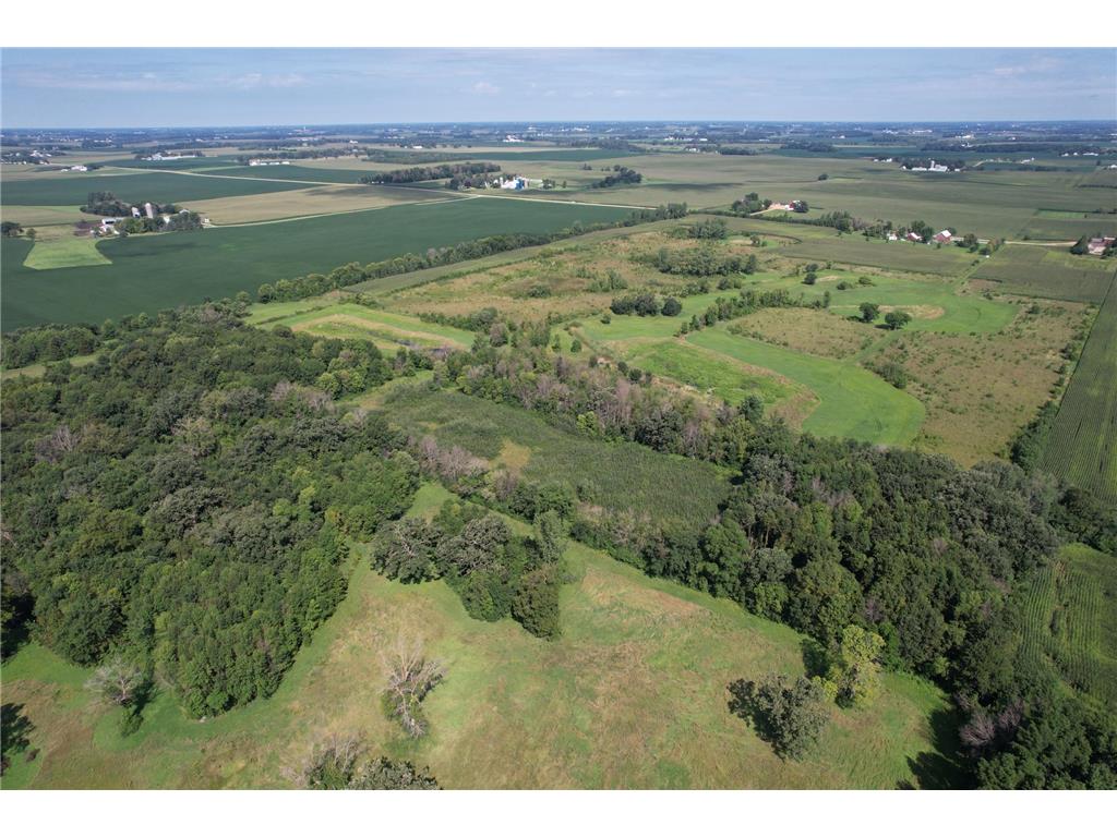 10xxx County Road 50 Cologne MN 55322 6774682 image15