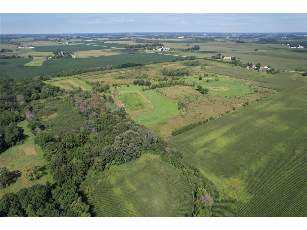 10xxx County Road 50 Cologne MN 55322 6774682 image16