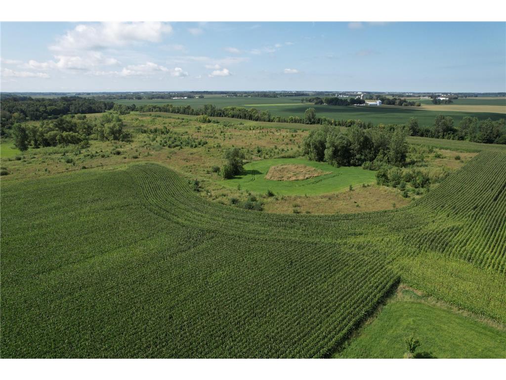 10xxx County Road 50 Cologne MN 55322 6774682 image21