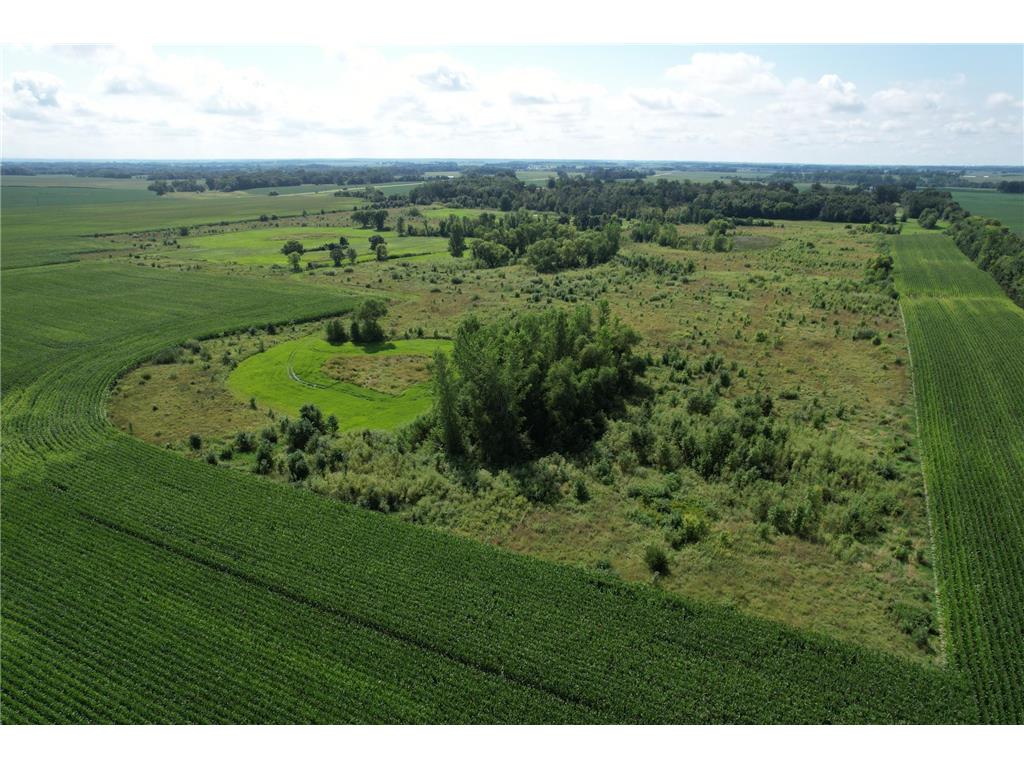 10xxx County Road 50 Cologne MN 55322 6774682 image22