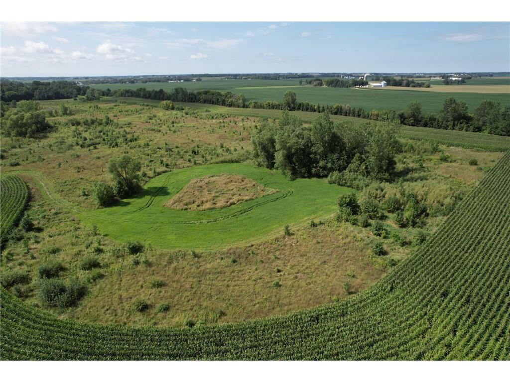 10xxx County Road 50 Cologne MN 55322 6774682 image23