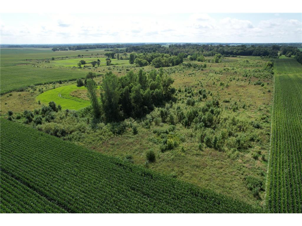 10xxx County Road 50 Cologne MN 55322 6774682 image24