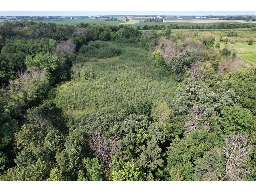 10xxx County Road 50 Cologne MN 55322 6774682 image26