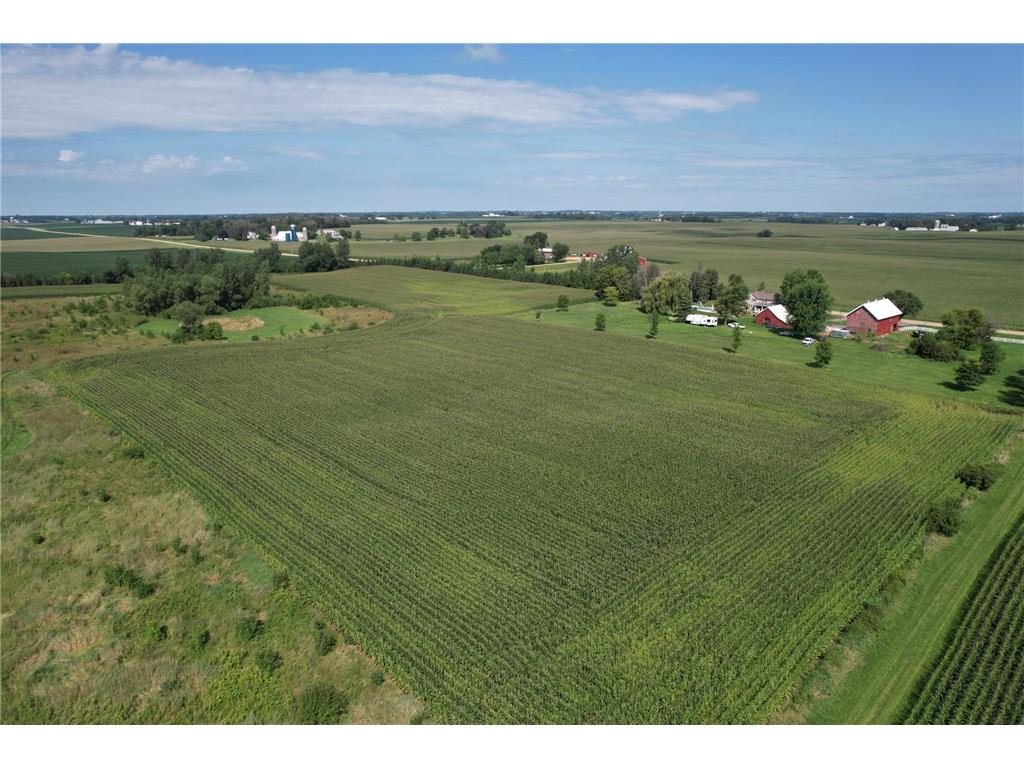 10xxx County Road 50 Cologne MN 55322 6774682 image27