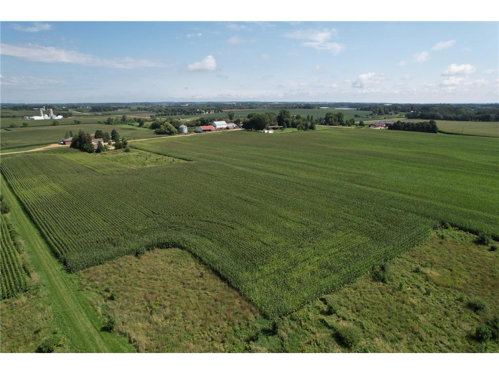 10xxx County Road 50 Cologne MN 55322 6774682 image28