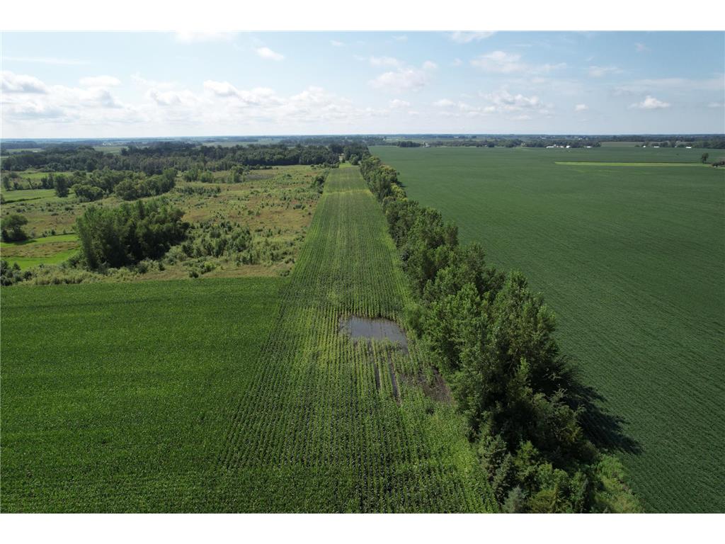 10xxx County Road 50 Cologne MN 55322 6774682 image29