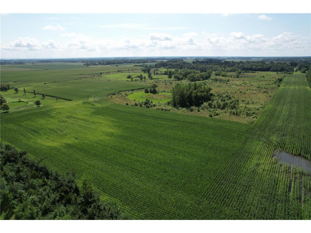 10xxx County Road 50 Cologne MN 55322 6774682 image30