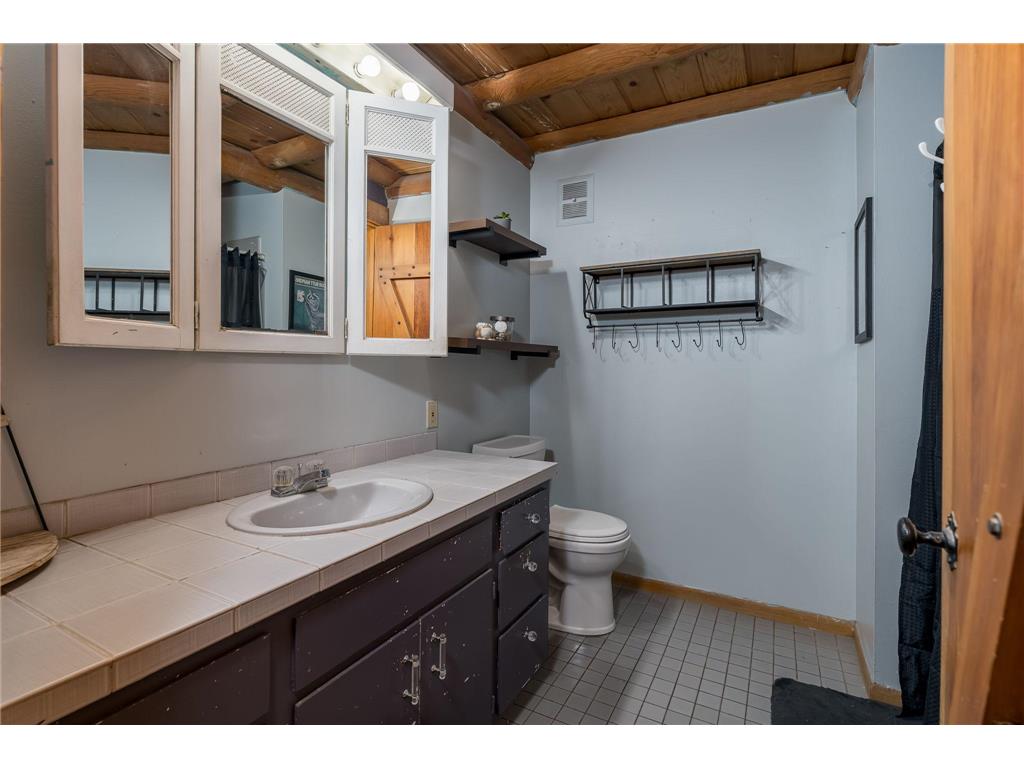 11 Cedar Point Lane NW Elysian MN 56028 - Swains 7049855 image24