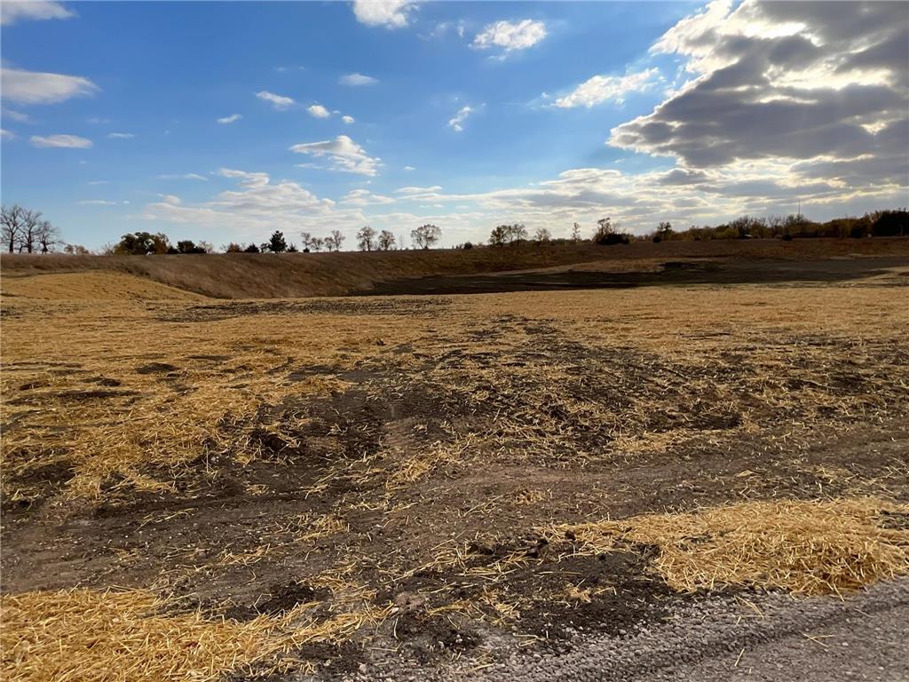 11 Cottonwood Lake Boulevard Windom MN 56101 6617797 image8