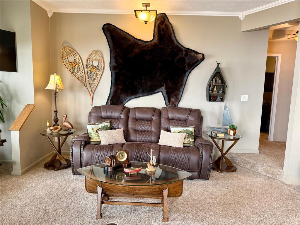 11 Lime Lake Drive Lime Lake Twp MN 56114 - Lime 7018959 image29