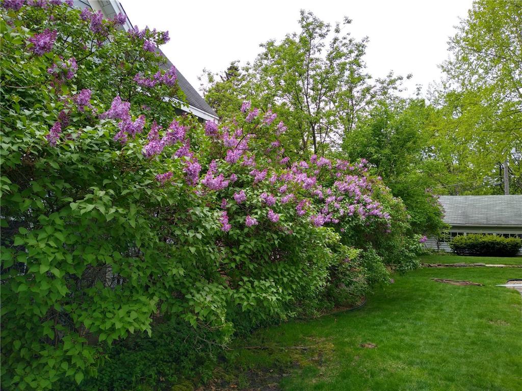 11 Ludlow Avenue Saint Paul MN 55108 7032988 image52
