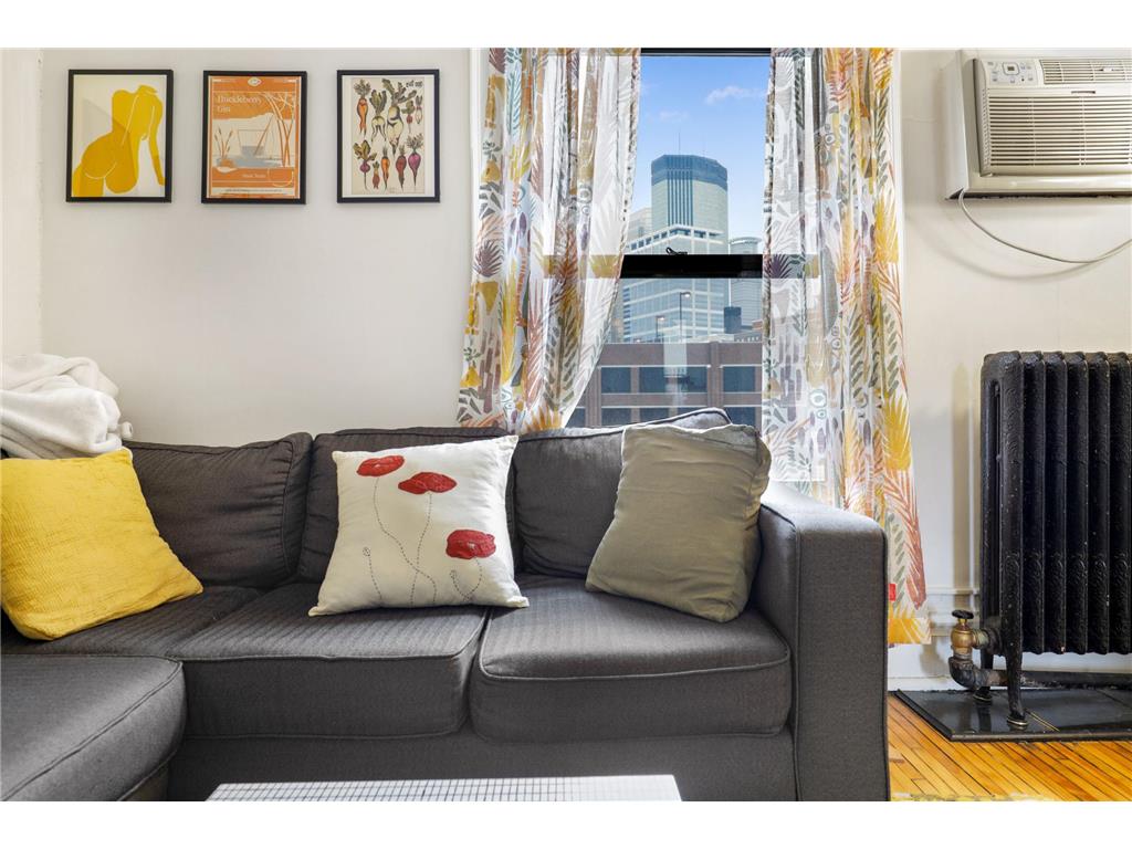 11 S 12th Street #402 Minneapolis MN 55403 7072171 image10