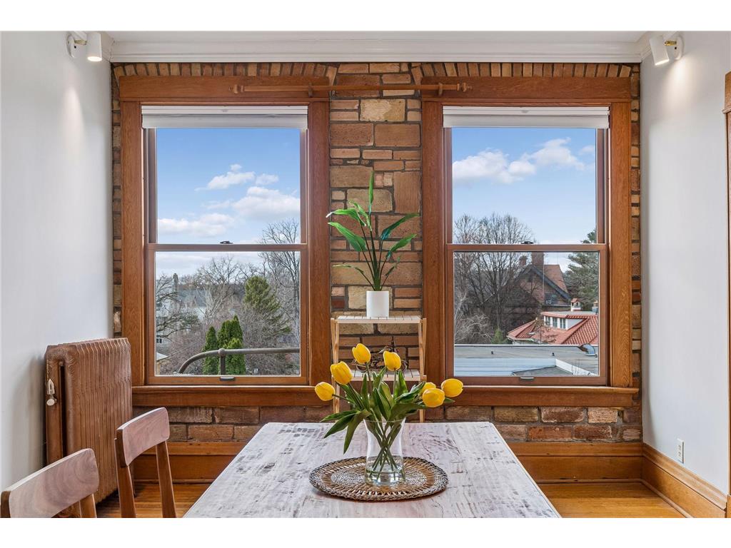 11 Summit Court #16 Saint Paul MN 55102 7048939 image47