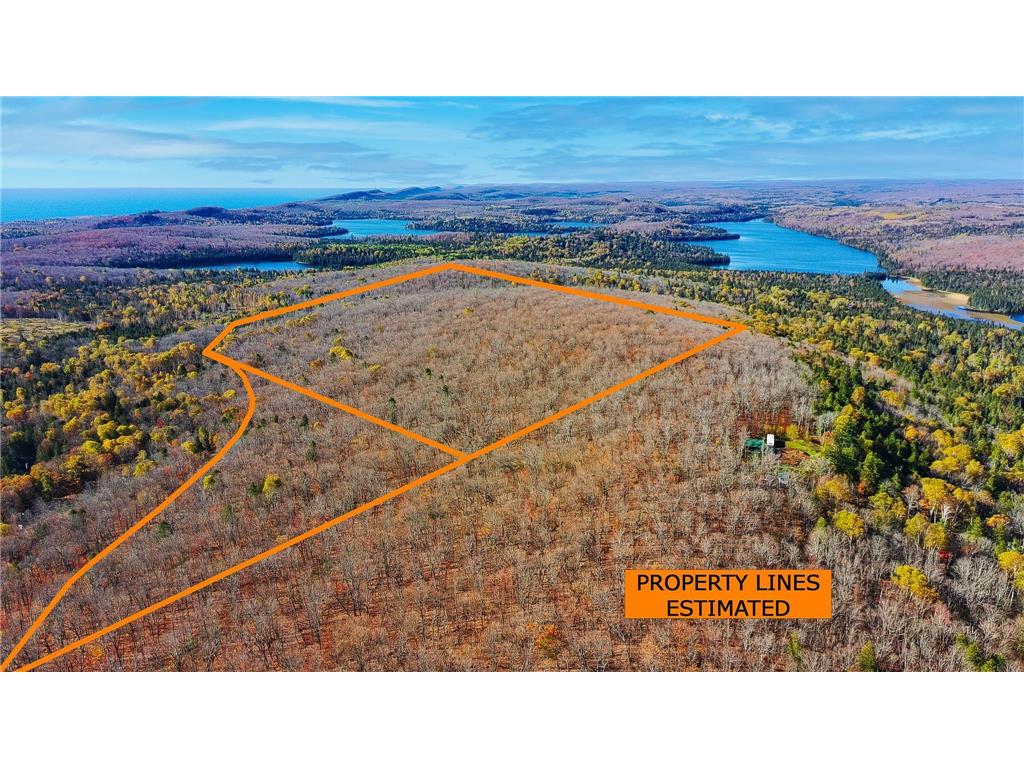 xx W Deeryard Lake Rd Lutsen Twp MN 55612 - Deer Yard 6802526 image1